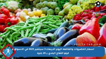 أسعار الخضروات والفاكهة اليوم الأربعاء 3 سبتمبر 2025 في الأسواق و كيلو التفاح البلدي بـ 20 جنيه